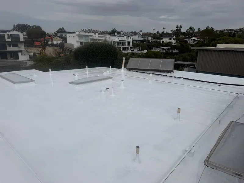 Completed flat roof silicone seal with skylights